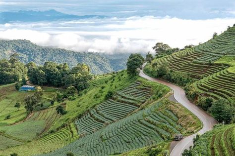 Mon Jam Chiang Mai, Thailand Package, Chiang Mai Travel, Doi Inthanon National Park, The Residents, Honeymoon Packages, Safari Tour, Sustainable Farming, Travel Packages