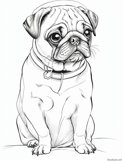 Pug Color Page Check more at https://doodlydo.com/pug-color-page/ Black Pug Drawing, Pug Drawing Easy, Cute Pug Drawing, Pug Coloring Page, Pug Sketch, Burning Pictures, Pug Drawing, Pet Pug, Kids Colouring