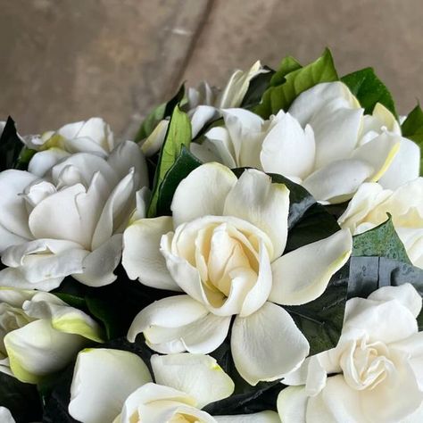 park cities petals on Instagram: "The gardenia bouquet needs to be the new lily of the valley bouquet 🤍🤍🤍  #gardenia #bouquet #wedding #gardeniabouquet #dallasflorist #highlandparkflorist #parkcitiespetals #flowers #weddingbouquet #scratchandsniff" Gardenia Flower Bouquet, Gardenias Bouquet, Gardenia Bouquet, Gardenia Wedding, Lily Of The Valley Bouquet, Wedding Vibes, Highland Park, Bouquet Wedding, Lily Of The Valley