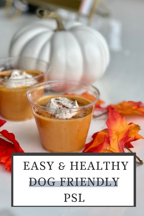 This dog-friendly PSL recipe will take about five minutes to make; all you need is a blender! Not only is this pumpkin spice latte recipe for dogs easy to make, but it’s also healthy for our dogs! Pumpkin is low in calories and includes nutrients. Woof Pupsicle Recipes Pumpkin, Frozen Pumpkin Treats For Dogs, Soft Pumpkin Dog Treats Easy, Psl Recipe, Pumpkin Spice Dog Treats, Pumpkin Dog Treats From Real Pumpkin, No Bake Dog Treats, Healthy Pumpkin Spice Latte, Pumpkin Spice Latte Recipe