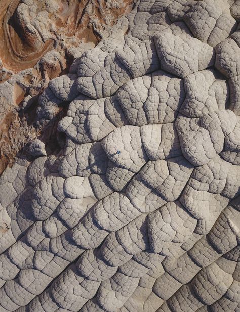 Vermillion Cliffs National Monument, Paria Canyon, Vermillion Cliffs, Rock Box, Wild Horses Photography, Dinosaur Tracks, 3d Inspiration, Utah Adventures, Utah Road Trip