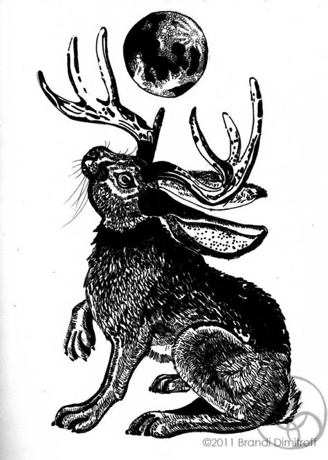 Jackalope Art, Jackalope Tattoo, Bunny Tattoos, Rabbit Tattoos, Spooky Tattoos, Rabbit Art, Bunny Art, Blackwork Tattoo, Tattoo Ideas Design