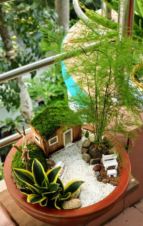 Fairy Miniature Garden, Fairy Garden Miniatures Diy, Miniature Succulent Garden, Fairy Garden Succulents, Potted Fairy Garden, Garden Projects Diy Cool Ideas, Mini Garden Ideas Small Spaces, Mini Landscape Garden, Indoor Fairy Garden Ideas