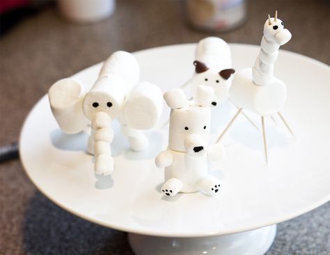 How creative can you be with your marshmallows? #animals #cute #marshmallow Marshmallow People Craft, Crafts With Marshmallows, Marshmellow Birthday Party, Marshmallow Structures, Marshmallow House, Marshmallow Toothpick, Marshmallow Animals, Gingerbread Building, Rain Images