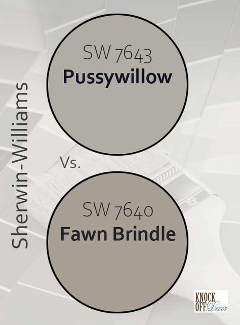 pussywillow-vs-fawn-brindle Sw Egret White, Sw Tradewind, Sw Rainwashed, Sherwin Williams Silvermist, Small Kitchen And Living Room, Sherwin Williams Tidewater, Benjamin Moore Beach Glass, Rainwashed Sherwin Williams, Sleepy Blue