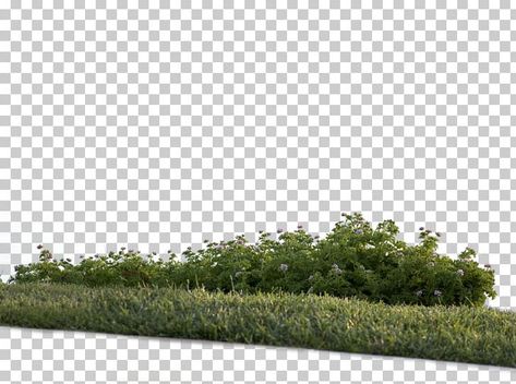 Vegetation Png, Grass Photoshop, Model Photoshop, Pink Flowering Trees, Landscape Design Drawings, Cut Out People, Love Background Images, Photoshop Images, Shadow Photos