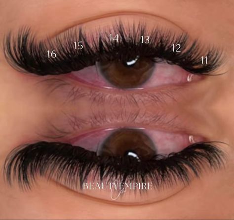 Lash Map Wispy Cat Eye, Lash Mapping D Curl, Lash Map D Curl, D Curl Lash Map, D Curl Lash Extensions, Volume Cat Eye, Lash Maps, Eyelash Extensions Salons, Lash Map