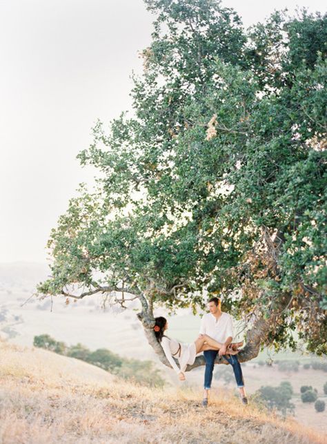 in love <3 Climbing Trees, Jose Villa, Lovely Photo, Tree Swing, Engagement Picture, Engagement Inspiration, Wedding Engagement Photos, Photo Pose, Living Life