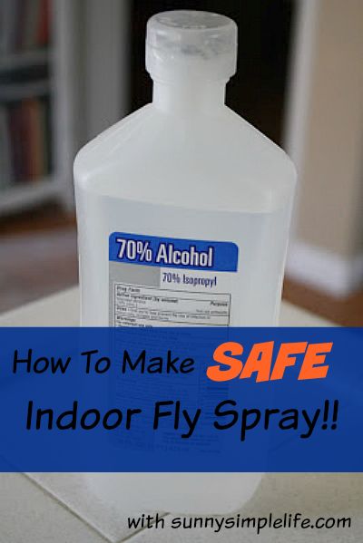 How to make your own safe indoor fly spray. Best Homemade Indoor bug spray Flies Repellent Indoor, Diy Fly Repellent Indoor, Diy Fly Spray, Fly Repellant Diy, Homemade Fly Spray, Get Rid Of Flies, Fly Spray, Insect Spray, Fly Repellant