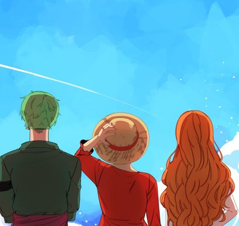 Nami Zoro, Luffy Zoro Nami, Zoro Luffy, Luffy Nami, Luffy Zoro, Zoro Nami, One Piece Ship, Nami One Piece, One Peice Anime