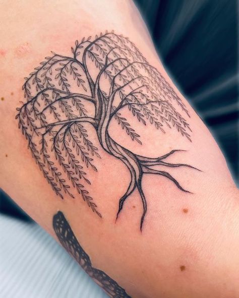 Guys Collar Bone, Matching Tattoos For Guys, Unique Tattoos Ideas, Earthy Tattoos, Willow Tree Tattoos, Perfect Tattoo, Tree Tattoo Designs, Tattoos For Black Skin, Cute Small Tattoos