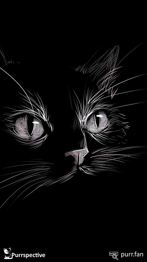 Scratchboard Animals, Cat Silhouette Tattoos, Animal Stencil Art, Scratchboard Drawings, Scratch Paper Art, Magical Paintings, Cat Phone Wallpaper, Cat Dark, Scratchboard Art