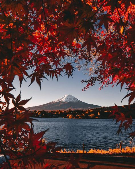 All Posts • Instagram Japan In October, Japan October, October Aesthetic, Best Place To Visit, Japan Aesthetic, Place To Visit, Japan Photo, Travel And Tourism, In November