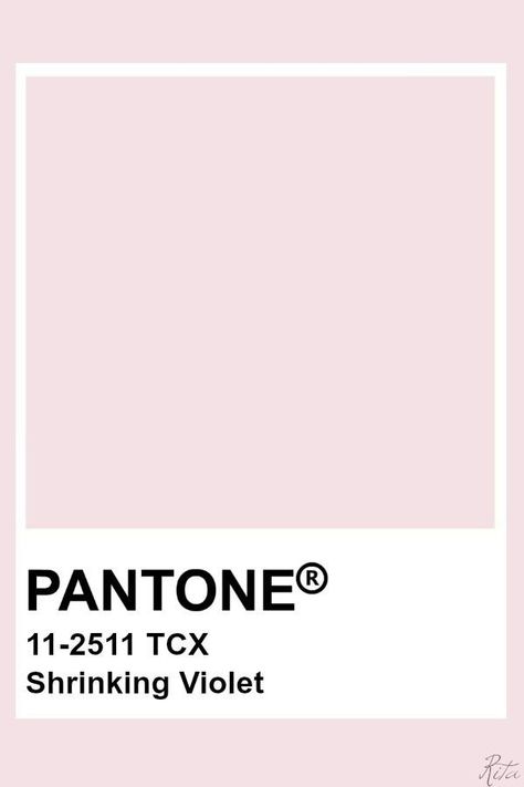 Pale Pink Pantone, Light Pink Pantone, Pantone Pink Shades, Libra Colors, Pink Pantone, Pantone Color Chart, Pantone Swatches, Shrinking Violet, Pantone Palette