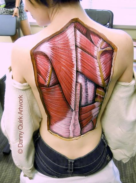 Realistic Anatomical Paintings Reveal The Structures That Lie Beneath Our Skin | Bored Panda Danny Quirk, Muscle Anatomy, Medical Anatomy, Therapeutic Massage, Anatomy Physiology, Muscle Body, Body Anatomy, Hip Flexor, Anatomy Drawing