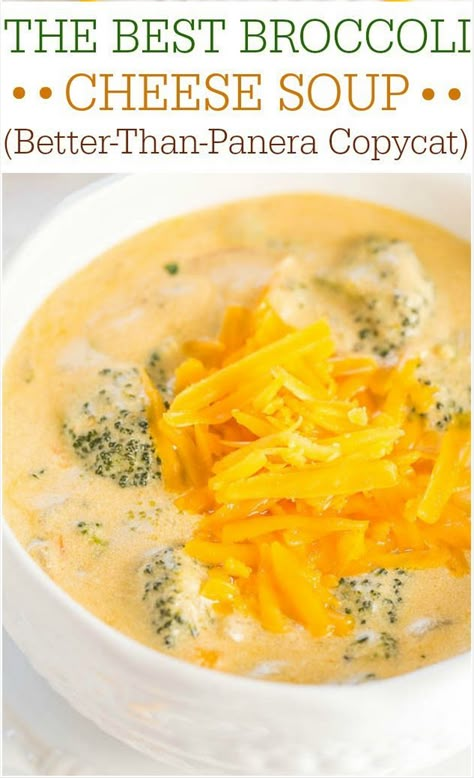 The Best Broccoli Cheese Soup (Better-Than-Panera Copycat) - Make the best soup of your life at home in 1 hour! Beyond words amazing!! Best Broccoli Cheese Soup, Panera Copycat, The Best Broccoli, Best Broccoli, Cheese Soup Recipes, Averie Cooks, Easy Soup, Broccoli Cheddar Soup, Broccoli Cheese