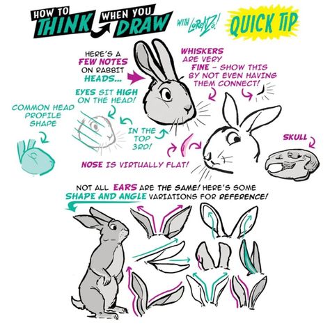 The Etherington Brothers on Instagram: “I'm reprinting BOTH my 200 PAGE drawing tutorials BOOKS, which will ONLY be available in the HIGHER tiers of Robin's WRITING book…” Etherington Brothers, How To Draw Ears, Rabbit Drawing, Bunny Drawing, Bunny Art, Body Drawing, Anatomy Reference, Animal Sketches, Rabbit Ears