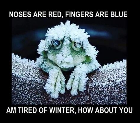 Cold Humor, Cold Weather Funny, Cold Weather Quotes, Winter Humor, Snow Humor, Weather Memes, Santa Claus Village, The Santa Claus, Weather Quotes