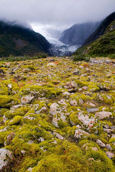 Franz Joseph Glacier by THPStock. Franz Josef Glacier, New Zealand #AD #Glacier, #Joseph, #Franz, #Zealand Franz Josef Glacier, New Zealand, Natural Landmarks, Travel