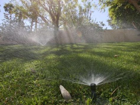 HOAs could face fines under California drought rules Sprinkler System Installation, Watering Lawn, Landscape Drainage, Plant Watering System, Garden Watering System, Lawn Irrigation, Underground Sprinkler, Garden Sprinklers, Lawn Sprinklers