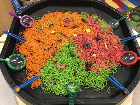 Tuff Tray Spaghetti, Mini Beast Tuff Tray Ideas, Tuff Tray Ideas Key Stage 1, Cheap Tuff Tray Ideas, Mini Beasts Tuff Tray, Pasta Tuff Tray Ideas, Sensory Tough Tray, Superworm Tuff Tray, Spaghetti Tuff Tray