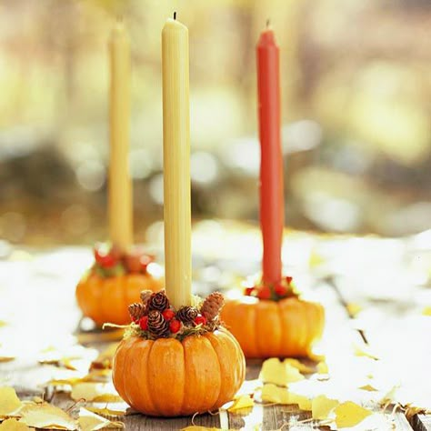 Pumpkin Tabletop Accent  -            Turn mini pumpkins into delightful candleholders for an autumnal centerpiece. For each pumpkin, remove the stem and drill a hole in the top. Insert a candle into the hole, and glue some small pinecones and berries around the base of the candle to finish. Thanksgiving Buffet, Pumpkin Candle Holder, Fall Decorating Ideas, Fall Deco, Halloween Pumpkins Carvings, Pumpkin Candles, Thanksgiving Tablescapes, Harvest Decorations, Front Entrance