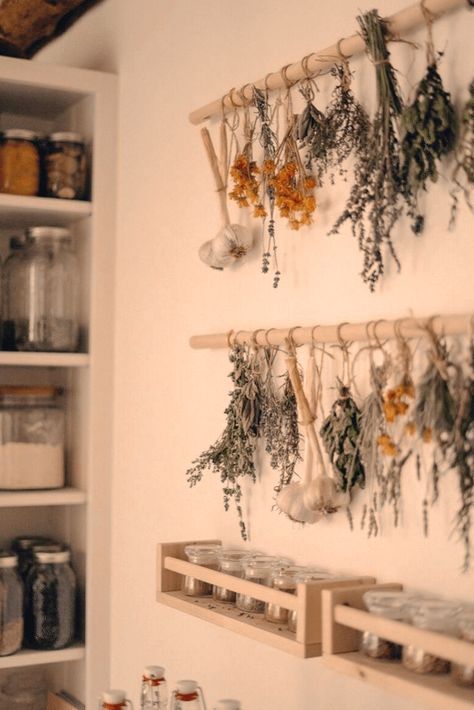 Diy Herb Drying, Homemade Herbal Tea, Herb Drying Rack, Herb Drying, Echinacea Benefits, Echinacea Tea, Homemade Tea, Herbal Apothecary, Herbal Tea Blends