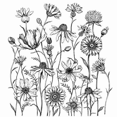 Alice az Instagramon: „▫️Floral Meadow ▫️ . . A floral meadow: the drawing on a fancy wall with its dancing flowers 🖤 . This is an attempt: an handmade drawing…” Dancing Flowers, Wildflower Drawing, Floral Meadow, Native Tattoos, Wildflower Tattoo, Sketching Tips, Tattoos For Women Half Sleeve, Plant Tattoo, Big Wall Art