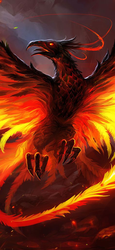 Phoenix Wallpaper For Phone, Phoenix Fantasy Art Mythical Creatures, Phenix Wallpapers, Fire Dragon Wallpaper, Phoenix Concept Art, Fenix Wallpaper, Real Phoenix Bird, Phoenix Animal, Tato Phoenix