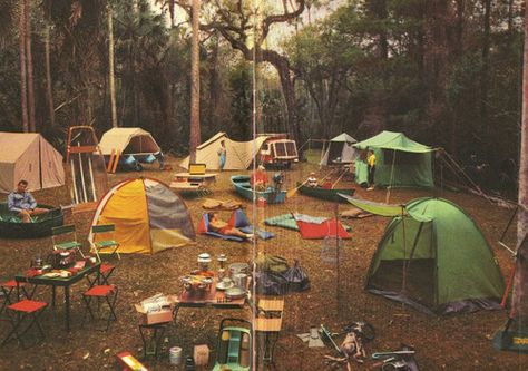 Camp put in the middle of a forest with friends Auto Camping, Art Hippie, Camping Aesthetic, Vintage Camping, Camping Ideas, Camping Life, Family Camping, Back To Nature, Station Wagon