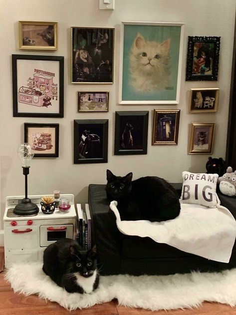 Cat Apartment, Cat Room Decor, Tiny Home Living, Tiny Bed, Cat Area, Cat Bedroom, Cat Couch, Creative Storage Solutions, Animal Room