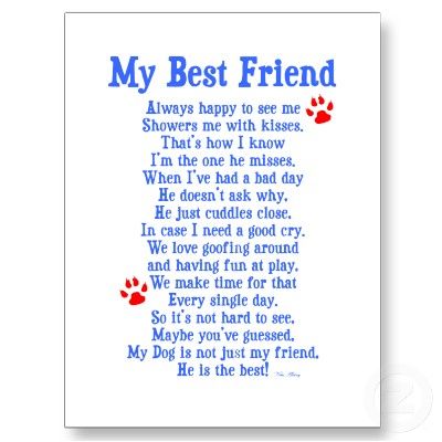 I am glad there are things like this out there so I know I am not the only one that loves my dogs   this much Cute Love Poems, Dog Poems, Friend Poems, Always Thinking Of You, Best Friend Poems, Gotcha Day, About Dogs, Good Essay, Cards Christmas