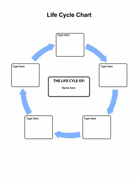 Life Cycle Chart Cycle Chart, Office Templates, Microsoft Office Word, Office Word, Word 2007, Ms Office, Free Life, Microsoft Office, Free Templates