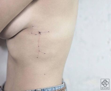 Canis Major Constellation, Astronomy Tattoo, Canis Major, Constellation Tattoo, Gemini Tattoo, Constellation Tattoos, Tattoos Gallery, Black Families, Permanent Tattoo