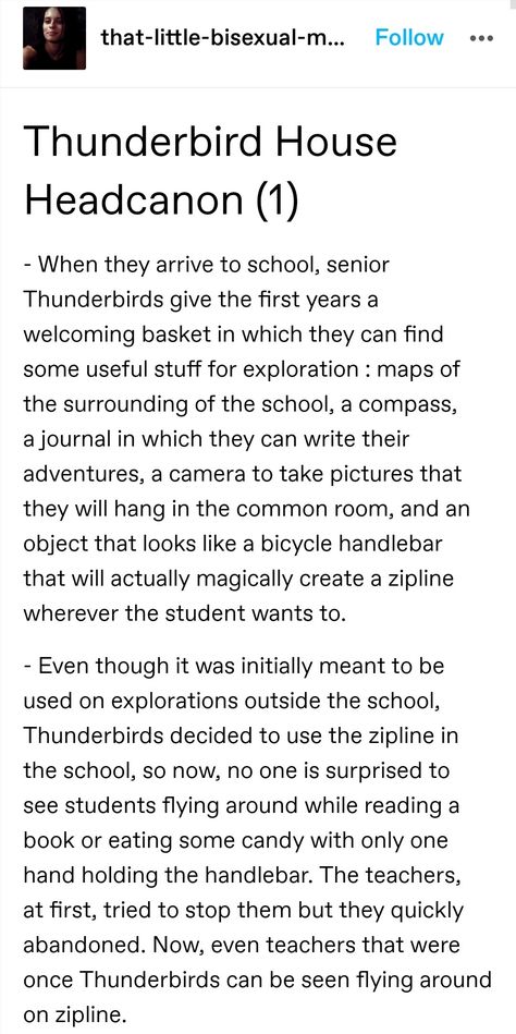 Harry Potter Thunderbird, Thunderbird Aesthetic Ilvermorny, Nandini Core, Ilvermorny Headcanons, The Outsiders Headcanons, Thunderbird Ilvermorny, Ilvermorny Thunderbird, Thunderbird House, American Wizarding School