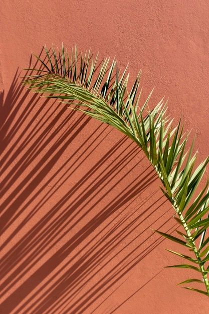 Earth Tone Background, Mediterranean Background, Terracotta Aesthetic, Desert Inspo, Monochromatic Background, Mediterranean Aesthetic, Terracotta And Green, Desert Aesthetic, Peach Aesthetic