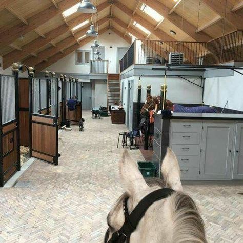 Stable Office, Dream Barn Stables, Equestrian Stables, Horse Farm Ideas, Horse Barn Ideas Stables, Barn Stalls, Horse Barn Designs, Dream Stables, Dream Horse Barns