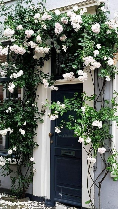 Rose Garden Design, Outdoor Trellis, Vertical Gardening, Garden Decor Ideas, Have Inspiration, Home Landscaping, Climbing Roses, Ideas Garden, Buy Home