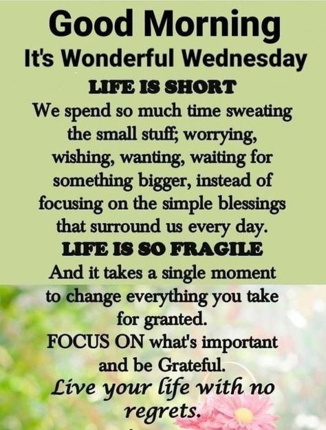 Wednesday Quotes Good Morning, Wednesday Good Morning, Wednesday Pictures, Wednesday Morning Greetings, Weekly Blessings, Wednesday Morning Quotes, Good Morning Prayer Quotes, Week Blessings, Wednesday Blessings