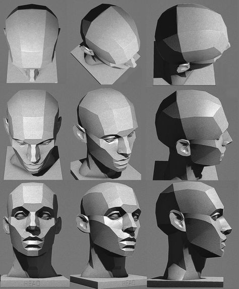 William Nguyen Face Plains Reference, Sculpture Drawing Reference, Drawing Heads Angles, Planes Of The Face Reference, Faces Different Angles, Top Of Head Reference, Face Angles Drawing Reference, Plains Of The Face, Face Planes Art Reference