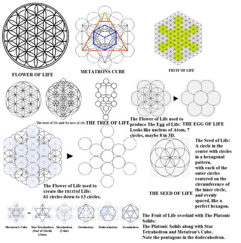 Egg Of Life, Sacred Geometry Meanings, Drunvalo Melchizedek, Ancient Patterns, Taurus Constellation, Sacred Geometry Patterns, Sacred Geometry Symbols, Metatrons Cube, Sacred Geometric