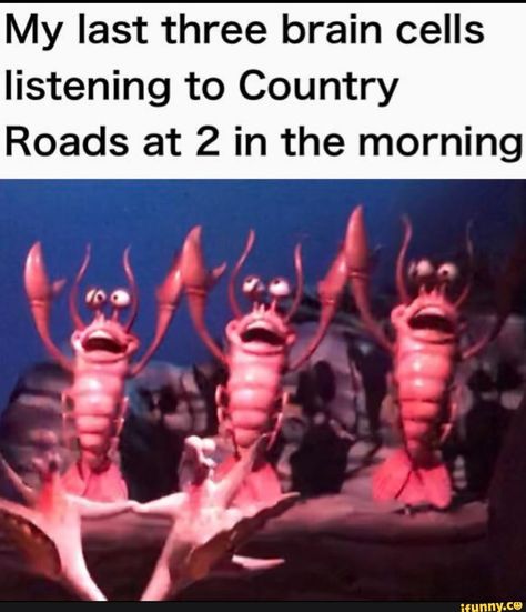 Virginia Memes, Morning Pic, Mountain Mama, Kool Kids, Brain Cells, Music Memes, Bones Funny, Popular Memes, My Last