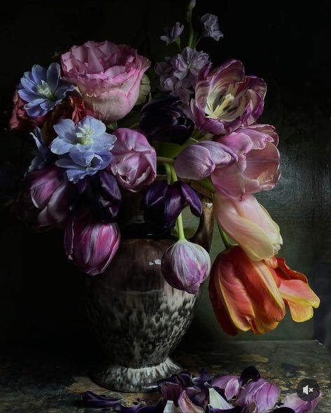 Floral Designs Arrangements, Indoor Flowering Plants, Tulip Painting, Flowers Aesthetic, Floral Illustration, Floral Photography, Beautiful Flower Arrangements, Beautiful Flowers Pictures, Tulips Flowers