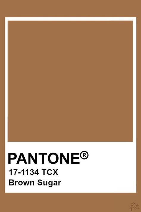 Brown Pantone Shades, Brown Colour Pantone, Brown Pantone Palette, Pantone Colors Brown, Pantone Brown Shades, Brown Pantone Color, Pantone Brown, Pantone Shades, Brown Pantone