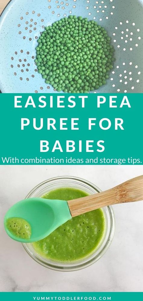 Pea Puree Baby Food, Pea Baby Food, Pea Puree, Freezing Baby Food, Baby Food Combinations, Making Baby Food, Easy Baby Food Recipes, Baby Foods, Baby Food Storage