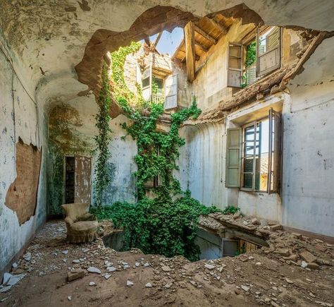 Abandoned House Aesthetic, Decaying House, Decay Architecture, Decay Aesthetic, Urban Decay Photography, Decay Art, Derelict House, The Grass Is Greener, Derelict Places