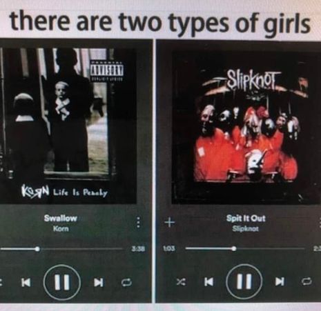 Two Types Of Girls, Spit It Out, Types Of Girls, Funny Funny, Slipknot, Band, Funny