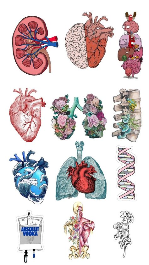 Anatomy Stickers Goodnotes Free, Funny Medical Stickers, Goodnotes Nursing, Medical Stickers Free Printable, Organ Drawings, Organs Drawing, School Farewell Ideas, Medicine Stickers, Med Stickers