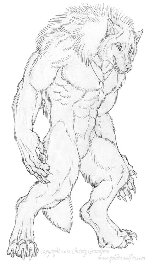 Werewolf Concept, Werewolf Drawing, Panda Drawing, Monster Book Of Monsters, Wolf Photos, Werewolf Art, Anime Monsters, Anthro Dragon