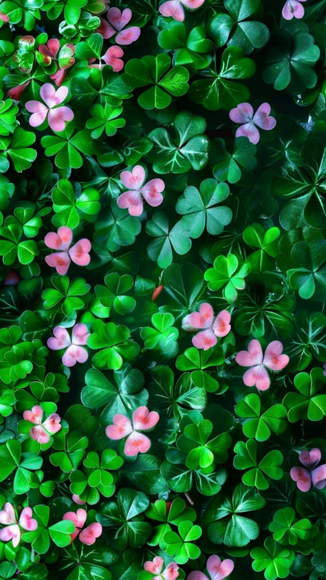 Lucky Clover Aesthetic, Good Luck Plants, Shamrock Flower, Colorful Photography, Easter Wallpaper, Iphone Backgrounds, Spring Wallpaper, Krishna Photos, Lucky Charms